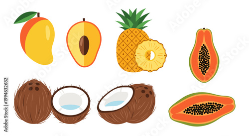 Tropical Fruit Illustrations.