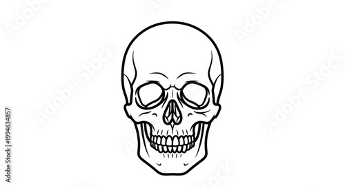Human Skull Illustration, Anatomical Drawing, Black and White, Front View