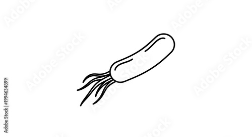 Illustration of a single bacterium with flagella, isolated on a white background.