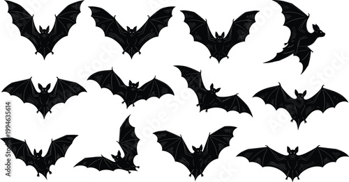 Valokuva Comprehensive Black Silhouette Collection of Bats in Various Flying and Wingspan