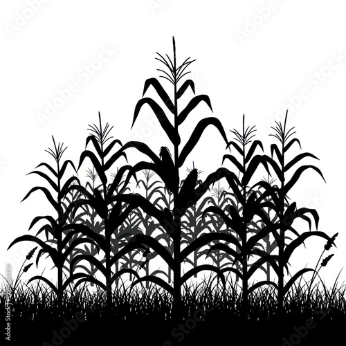 Silhouette of a lush cornfield at dusk with detailed stalks and grass