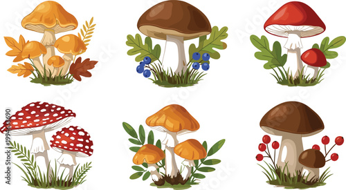 Autumn Mushroom Composition Set with Forest Fungi, Leaves, and Berries for Nature Design and Vector Illustration Collection.