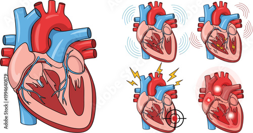 Comprehensive Silhouette Collection of Various Deciduous and Evergreen Trees for Landscape DesignComprehensive Silhouette Collection of Various Deciduous and Evergreen Trees for Landscape Design