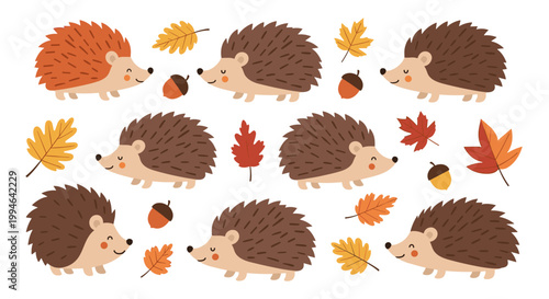 Hedgehogs in autumn leaves.