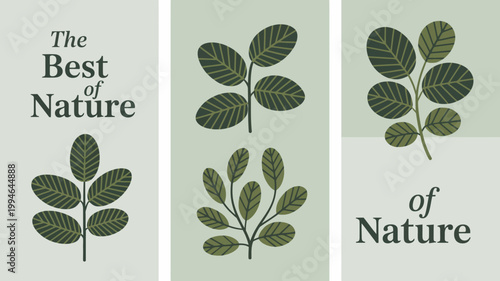Schilderij op canvas A triptych displays botanical illustrations of green leaves alongside minimalist
