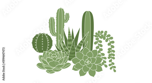 Collection of green succulents plants.