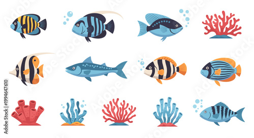 Colorful Fish and Coral Reef 2.