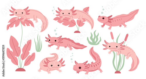 Pink Axolotls and Aquatic Plants.