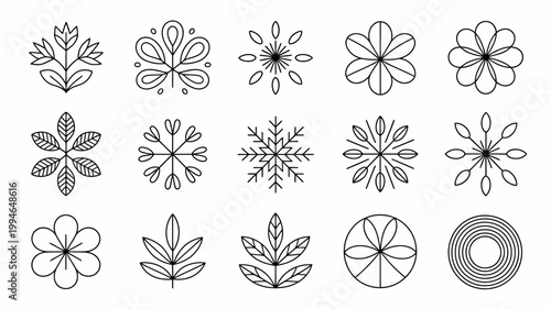 A collection of delicate hand drawn floral and botanical line art illustrations in black and white showcasing diverse shapes and patterns high quality professional detailed modern
