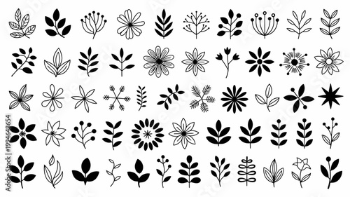A collection of delicate hand drawn floral and leaf illustrations presented in a simple black and white linear style arranged in a grid pattern high quality