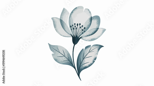 A delicate floral illustration depicts a blossoming flower with layered petals and slender leaves rendered in a cool muted blue gray palette high quality professional detailed