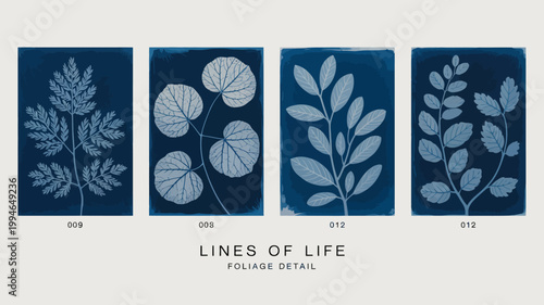 A series of four cyanotype prints display delicate foliage showcasing ferns leaves and botanical details in shades of blue high quality professional detailed modern elegant stylish