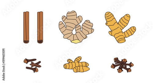 Cinnamon sticks and turmeric roots.