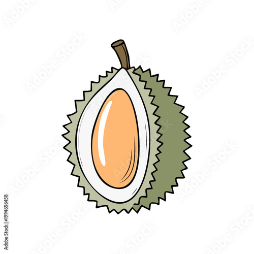 Hand drawn illustration of a halved exotic durian fruit with spiky green rind and creamy flesh
