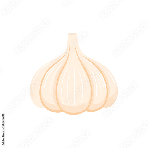 Single Whole Garlic Bulb with Delicate Wrinkled Texture and Soft Lighting