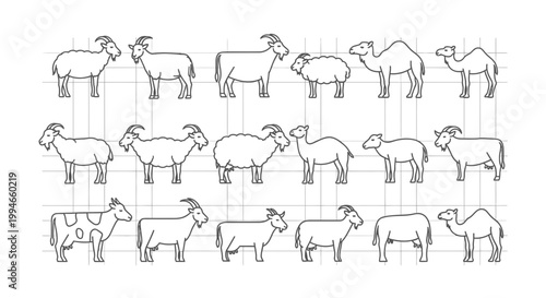 Farm animals line art collection: goats, sheep, camels, cow on grid background