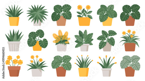 A colorful collection of potted houseplants are arranged in a grid featuring various leaf shapes and vibrant yellow flowers high quality professional detailed modern elegant stylish