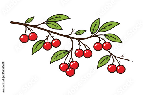 Vector Illustration of Cherry Branch with Red Berries and Green Leaves