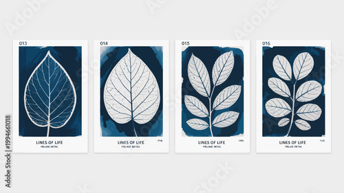 A set of four cyanotype prints displays various leaf shapes and vein structures against a deep blue background high quality professional detailed modern elegant stylish clean