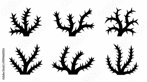 A collection of six black silhouette illustrations depicts various thorny branches resembling cactus or shrub forms with sharp spines high quality professional detailed modern elegant stylish
