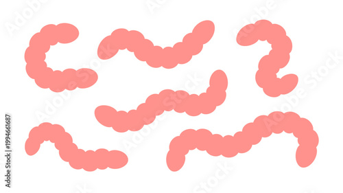 A graphic depiction shows several segmented pink worm like creatures arranged on a plain white background representing invertebrates or larvae high quality professional detailed modern elegant