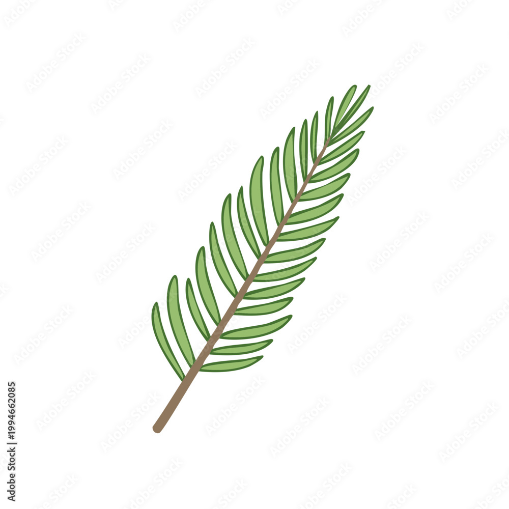 Fototapeta premium Simple illustration of a green fern leaf with a brown stem on a white background