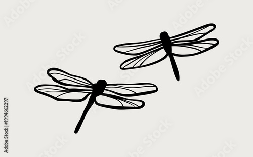 Silhouette vector dragonfly. Logo dragonfly. Wildlife illustration Isolated object on white background