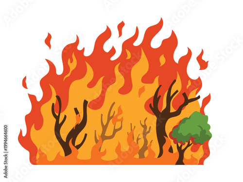 Forest fire destroys scorched trees, forest fires deforestation