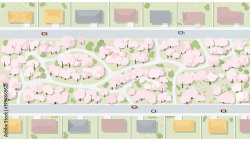 Aerial View Suburban Neighborhood with Cherry Blossom Trees & Cars - Real Estate & Urban Planning