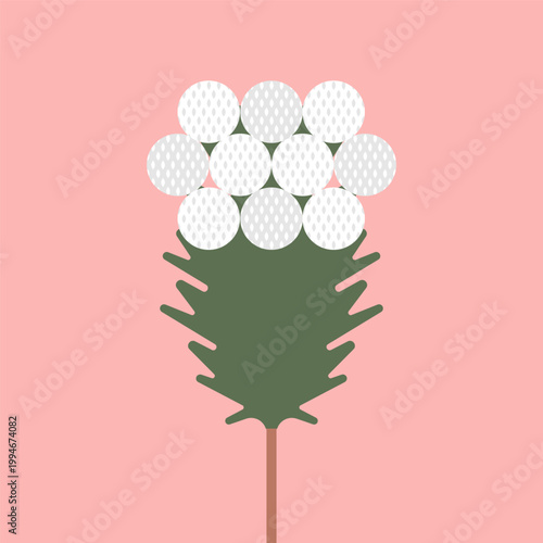 Vector illustration with isolated icon of Brunia on pink background. Beautiful flower of Bruniaceae with white button. Flat minimalist style with simplified shapes