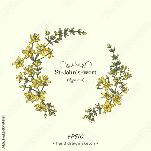 Fényképezés Wreath of Hypericum or St. John’s wort