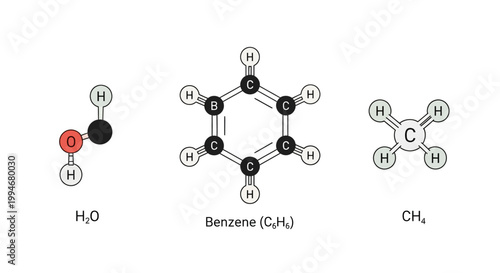 Chemical molecular structures of compounds.