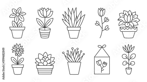 A collection of hand drawn succulent and potted plant illustrations are displayed in a minimalist black and white line art style high quality professional detailed modern