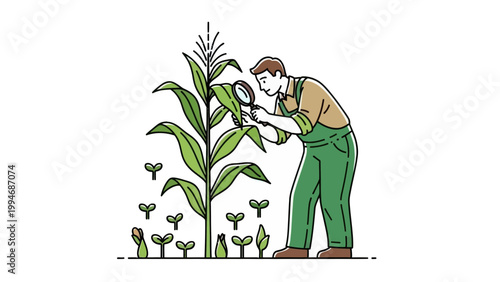 Agronomist Inspecting Corn Plant With Magnifying Glass