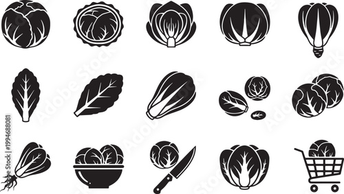 A collection of black and white icons representing cabbage. The icons depict various cabbage forms, including whole heads, leaves, a knife, a shopping cart, and a bowl of cabbage.