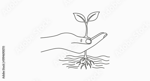 Human hand gently holding young plant with visible roots