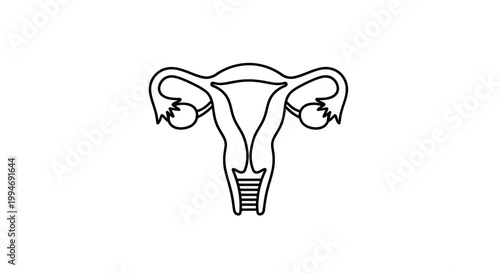 Uterus and Fallopian Tubes Line Art Icon - Female Reproductive System Anatomy