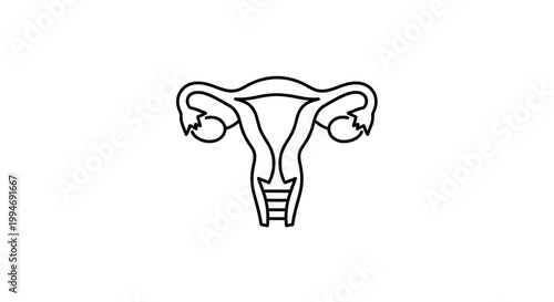 Uterus and ovaries icon, female reproductive system, line art, medical symbol