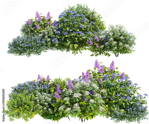 A small garden decorated with many plants on a transparent background.