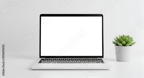 Laptop and succulent on desk.