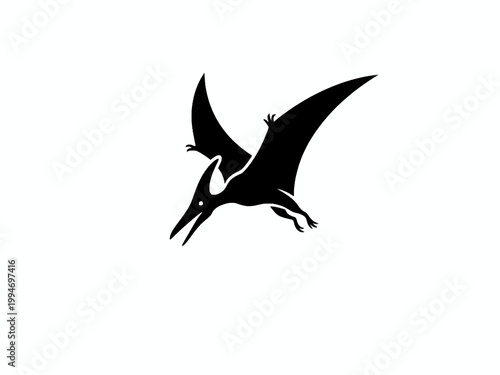 Pteranodon dinosaur flying silhouette isolated on white background