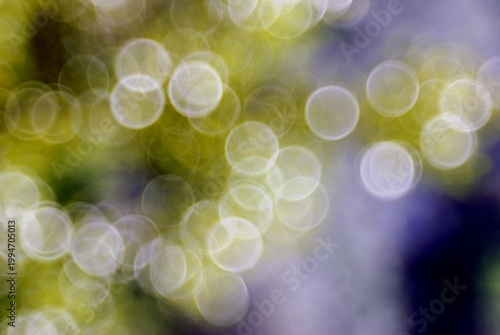 Bright spheres of early spring in Italy,April 17,2026.