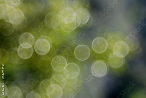 Bright spheres of early spring in Italy,April 17,2026.