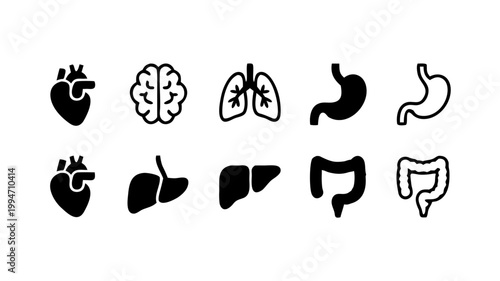 Set of 12 black and white medical organ human body
