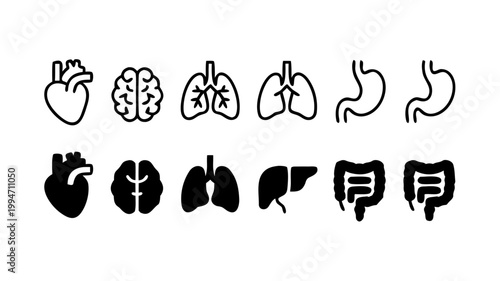 Black and white medical organ set silhouette healthcare