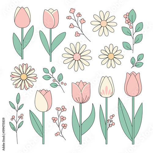 Garden Tulip Daisy Botanical Floral Elements Pack