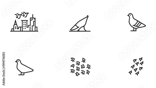 Obraz na plátně Pigeon Icon Set: This monochrome illustration presents a variety of pigeon icons, each meticulously designed to capture different aspects of these familiar urban birds