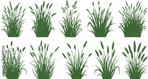 Reeds and Tall Grass Silhouettes Collection illustration (49