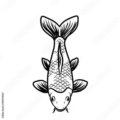 Koi fish line art illustration in top view. Clean outline vector isolated on white background, ideal for coloring, tattoo, and minimalist design