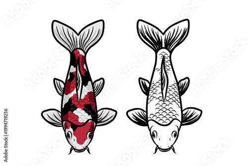 Koi fish set featuring colored and outline versions in top view. Japanese ornamental fish vector collection isolated on white background for design and tattoo use
